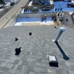 Local Way Roofing and Restoration | Calgary, Alberta | 5